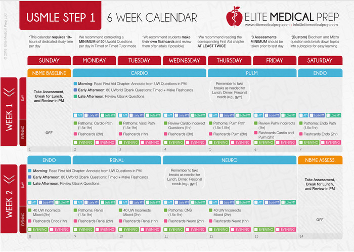Download our FREE USMLE Step 1 6 Week Study Schedule here!