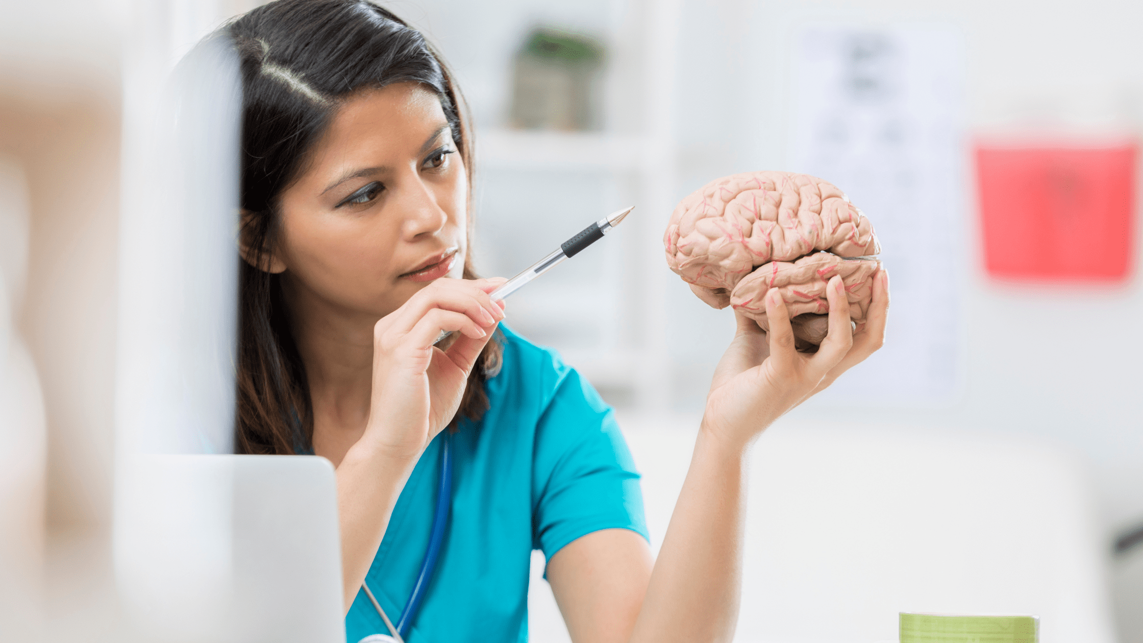 Neurology resident looking at a model of a brain.