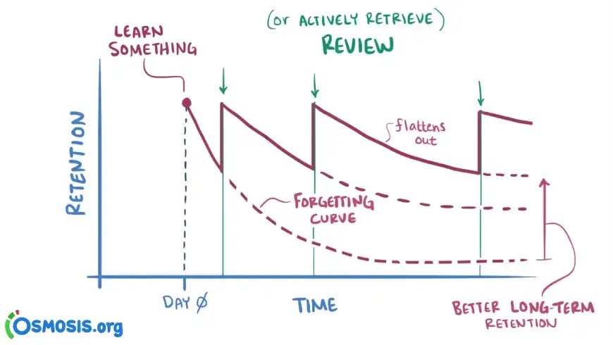 Picture of graph on spaced repetition learning from osmosis.org