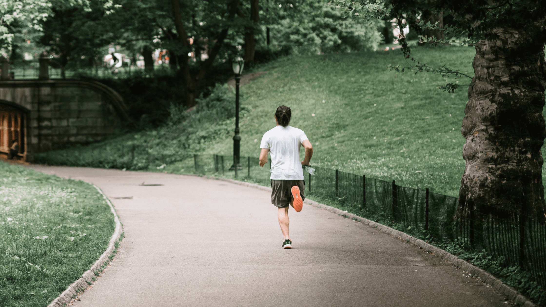 A student jogging in the park the day before his MCAT.