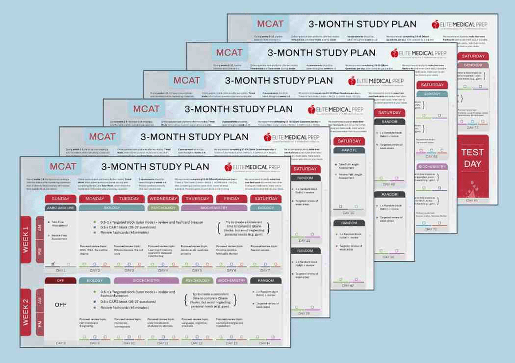 MCAT<br> 3-Month Study Plan