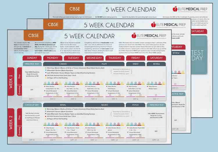 CBSE 5-Week Study Planner
