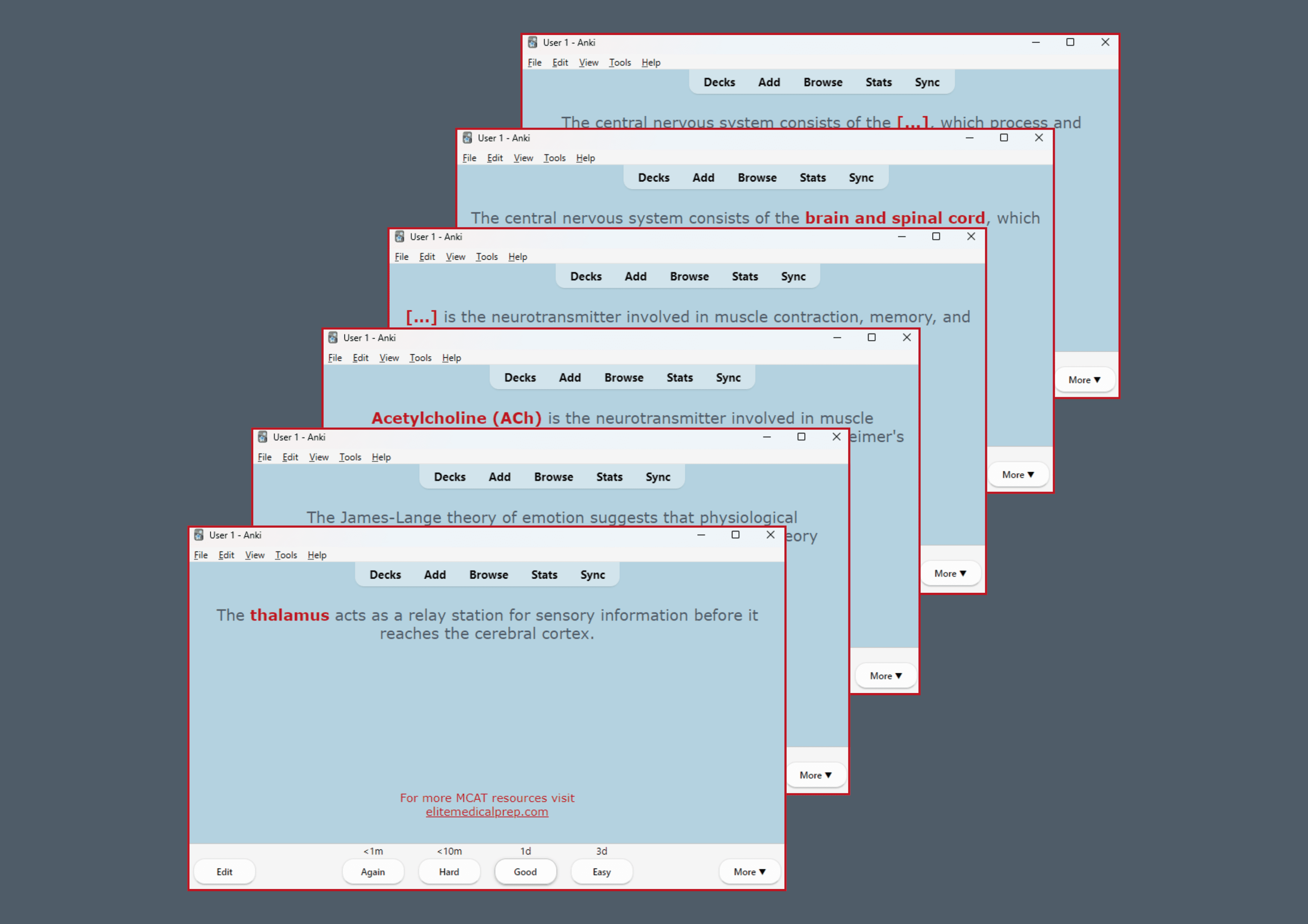 MCAT Neuroscience Anki Deck