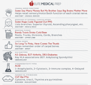 Top USMLE Step 1 Mnemonics Guide